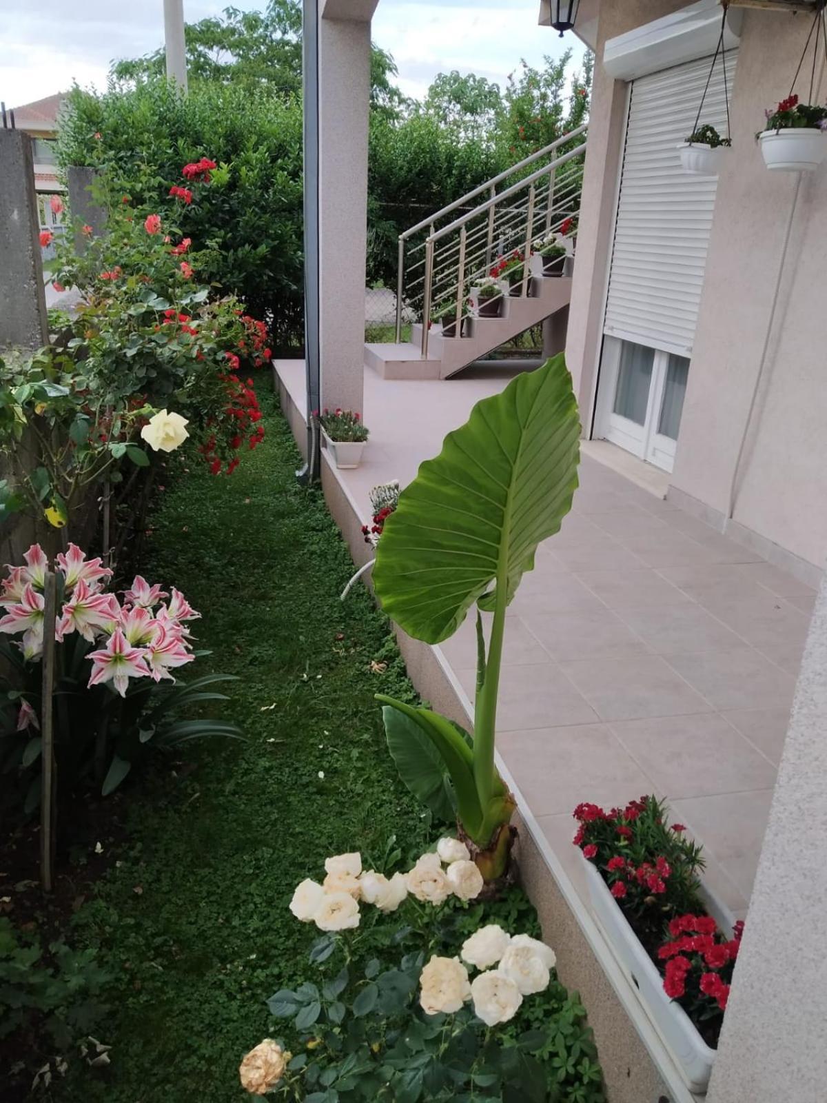 Entire House Floor - 2-Bedroom Cozy & Peaceful Apartment Подгорица Экстерьер фото