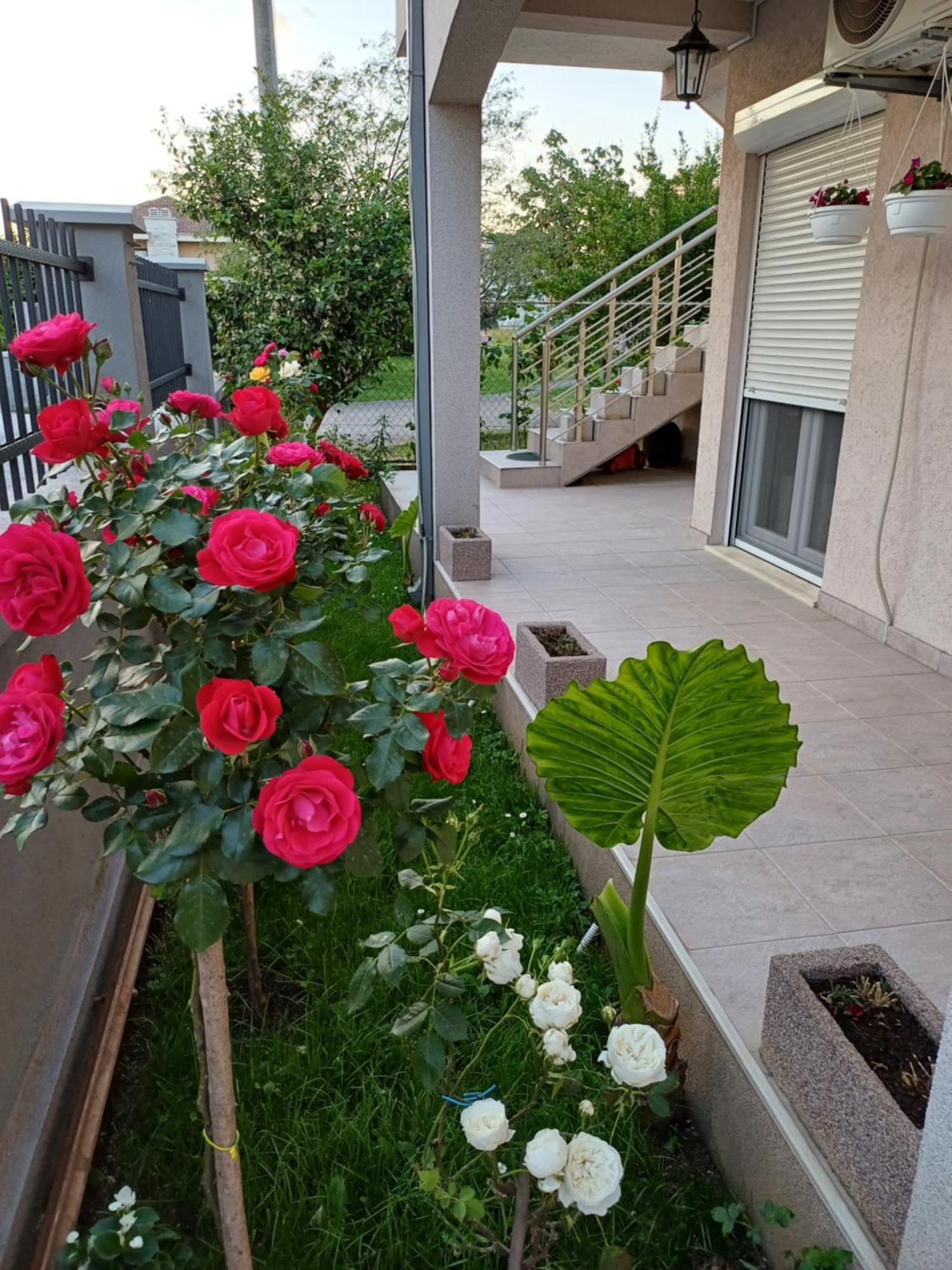 Entire House Floor - 2-Bedroom Cozy & Peaceful Apartment Подгорица Экстерьер фото